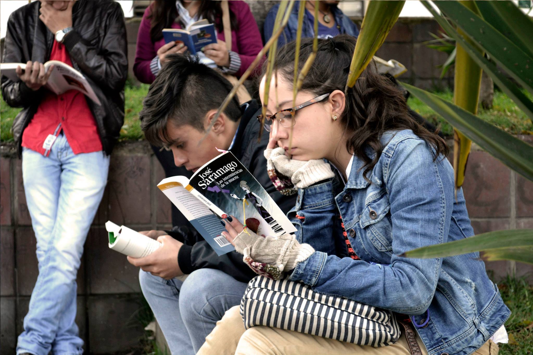 Actividad Entrelíneas